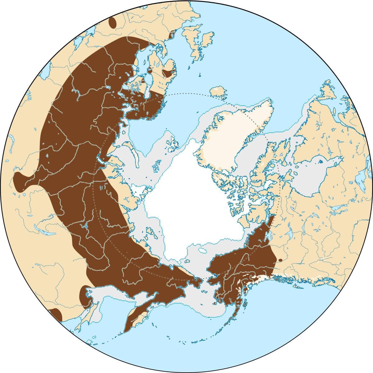 Ekonomisk sorkmöss — 3/3