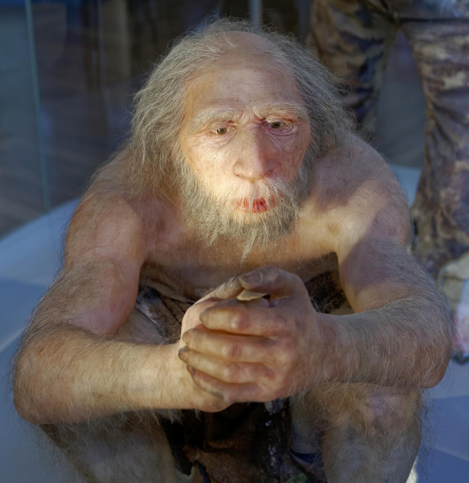Neandertalare — 2/3