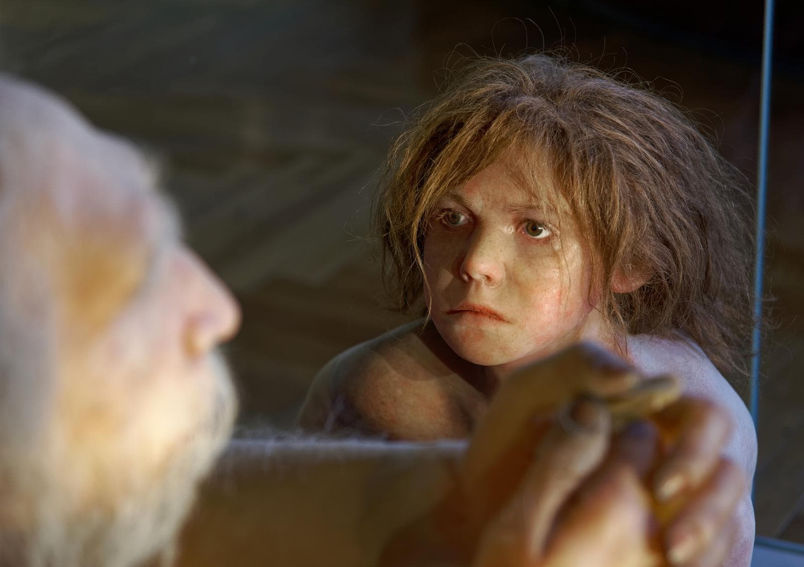 Neandertalare — 3/3
