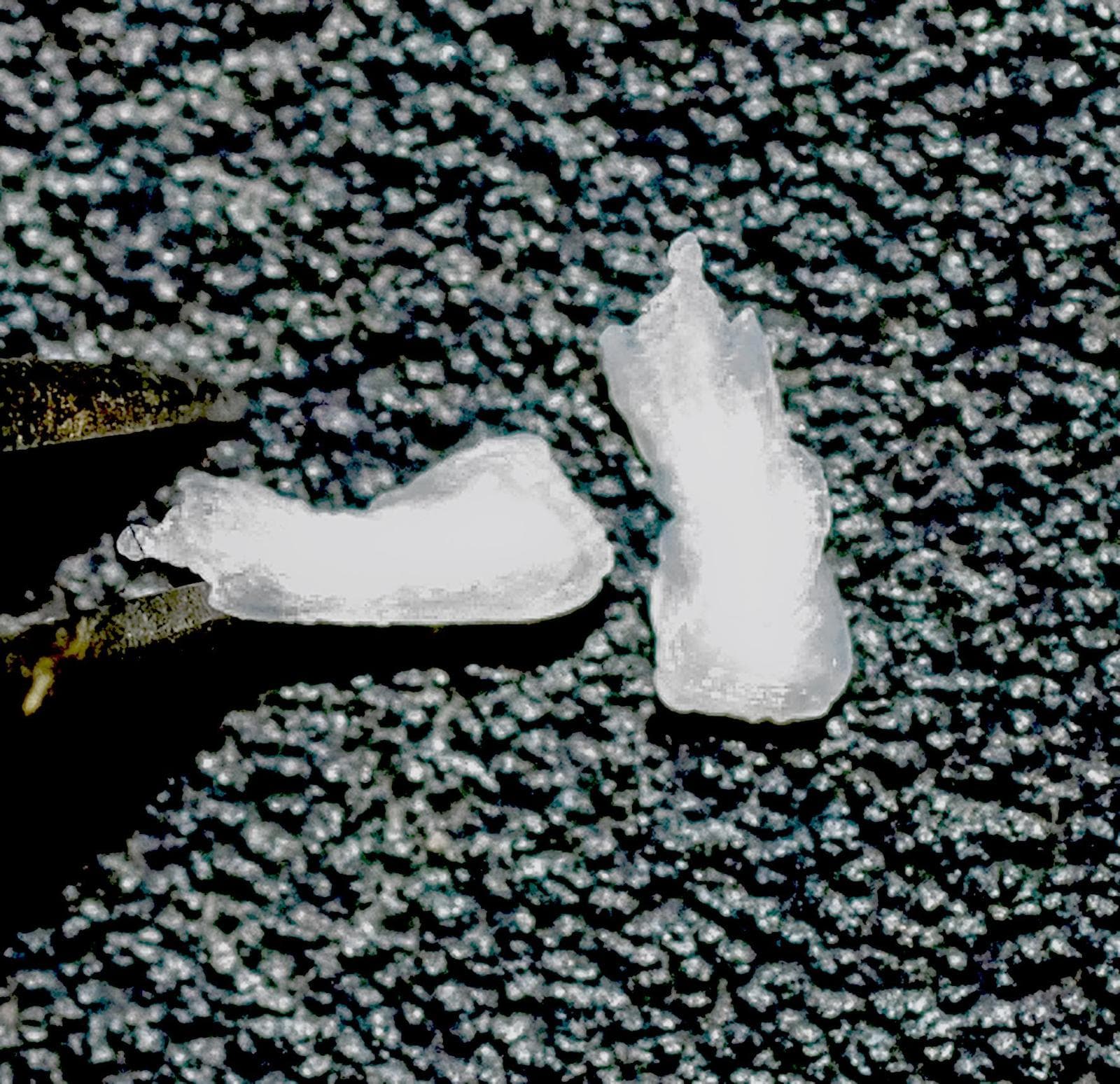 Spansk makrill — 3/3