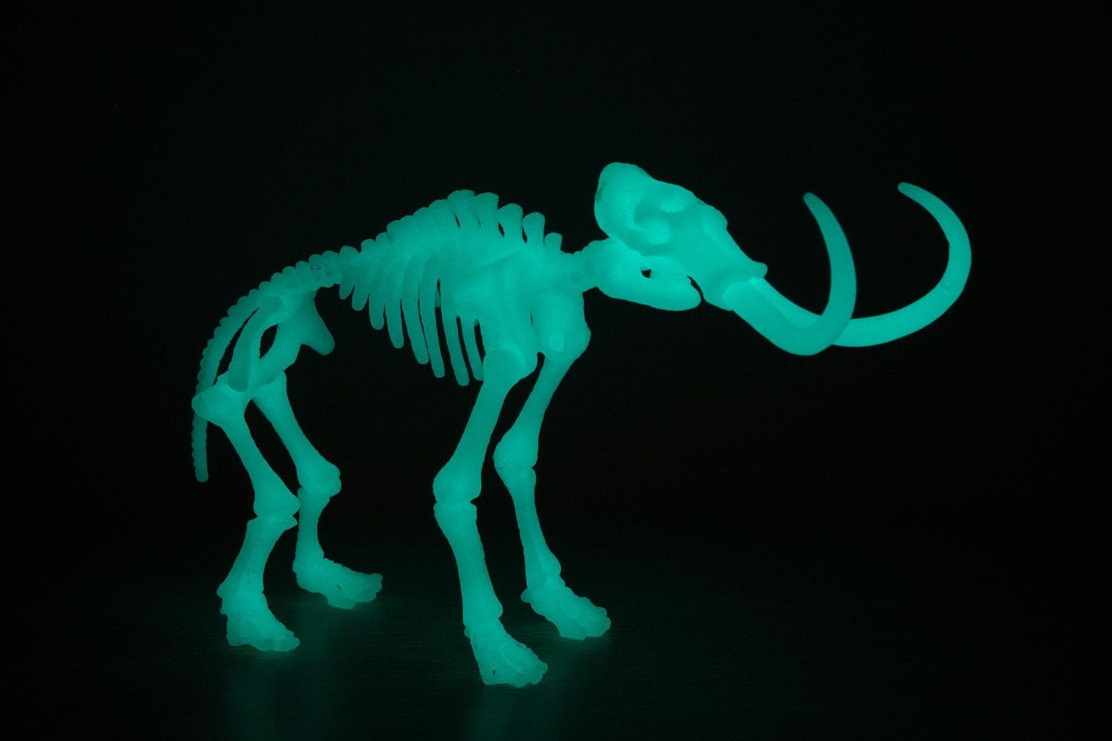 Ullhårig mammut — 3/3